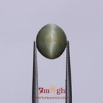 Catseye - 4.65 Carat