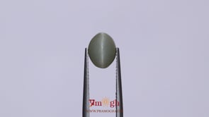 Catseye - 3.05 Carat
