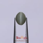 Catseye - 3.05 Carat
