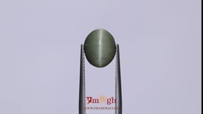 Catseye - 4.55 Carat