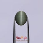 Catseye - 4.55 Carat