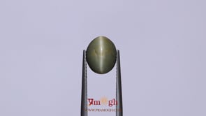 Catseye - 3.15 Carat