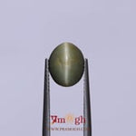 Catseye - 3.15 Carat