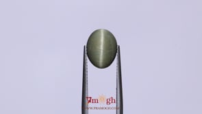 Catseye - 3.95 Carat