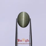 Catseye - 3.95 Carat
