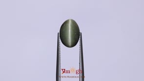 Catseye - 3.68 Carat