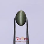 Catseye - 3.68 Carat