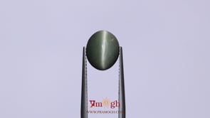 Catseye - 4.2 Carat