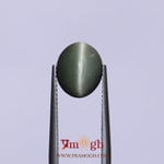 Catseye - 4.2 Carat