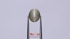 Catseye - 3.95 Carat