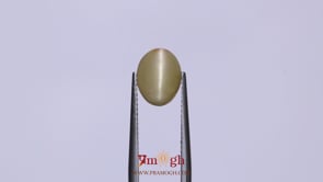 Catseye - 3.45 Carat