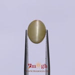 Catseye - 3.45 Carat