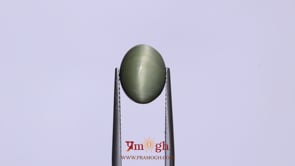 Catseye - 5.05 Carat