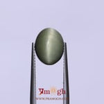 Catseye - 5.05 Carat