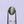 Load and play video in Gallery viewer, Catseye - 5.05 Carat
