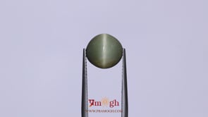 Catseye - 5.1 Carat