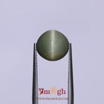 Catseye - 5.1 Carat