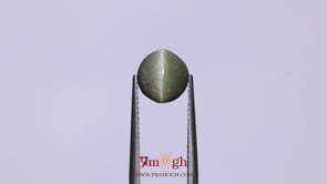 Catseye - 3.75 Carat