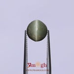 Catseye - 3.75 Carat