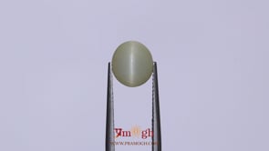 Catseye - 3.2 Carat