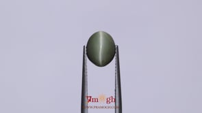 Catseye - 3.25 Carat