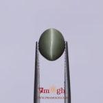 Catseye - 3.25 Carat