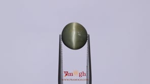 Catseye - 4.7 Carat