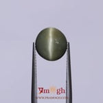 Catseye - 4.7 Carat