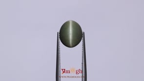Catseye - 4.6 Carat