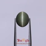 Catseye - 4.6 Carat