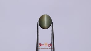 Catseye - 3.25 Carat