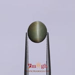 Catseye - 3.25 Carat
