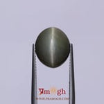 Catseye - 7.7 Carat