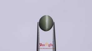 Catseye - 3.85 Carat