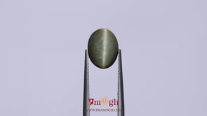 Catseye - 3.95 Carat