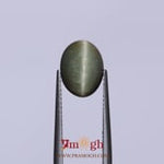 Catseye - 3.95 Carat