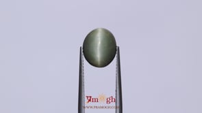 Catseye - 4.58 Carat