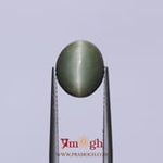 Catseye - 4.58 Carat