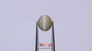 Catseye - 3.83 Carat