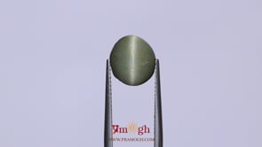 Catseye - 4.35 Carat