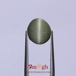 Catseye - 4.35 Carat