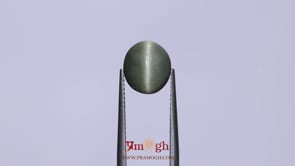 Catseye - 4.1 Carat