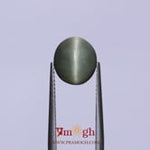 Catseye - 4.1 Carat