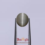 Catseye - 3.6 Carat