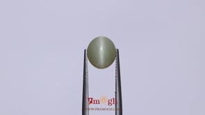 Catseye - 3.1 Carat
