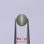 Catseye - 3.1 Carat