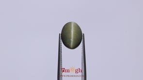 Catseye - 4.7 Carat