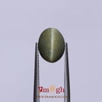 Catseye - 4.7 Carat