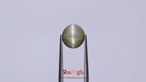 Catseye - 3.65 Carat