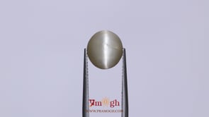 Catseye - 3.4 Carat